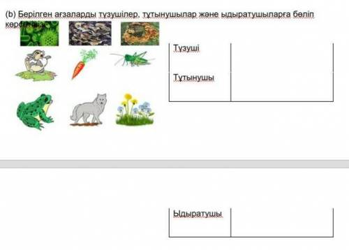 Вот без перевода как вы там просили​