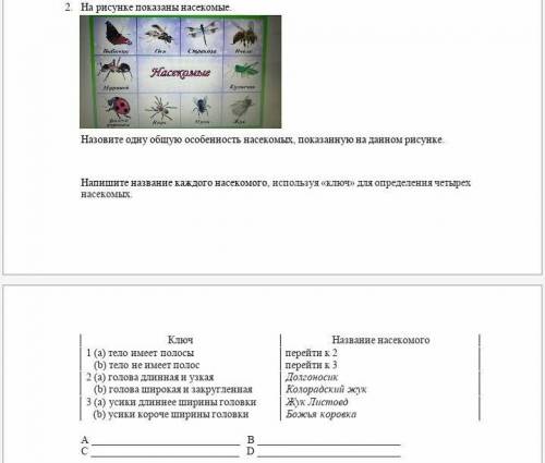 УМОЛЯЮ НЕ СПАМИТЬ На рисунке показаны насекомые:бабочка,оса,стрекоза,пчела,муравей,божья коровка,куз
