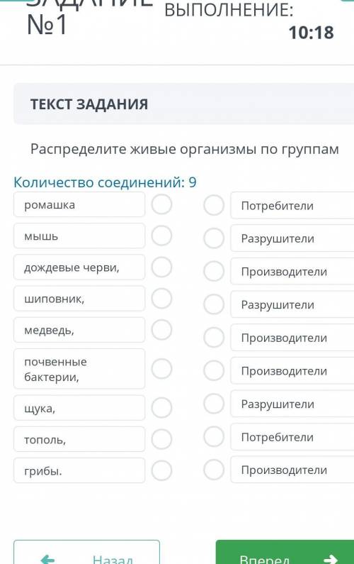 Распределите живые организмы по группам​