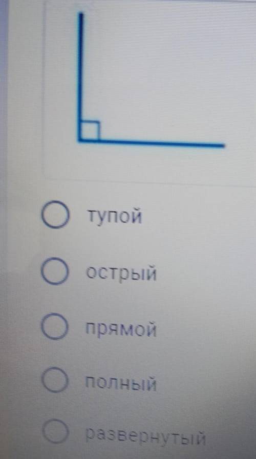 Укажите вид угла. Если буду благодарен​