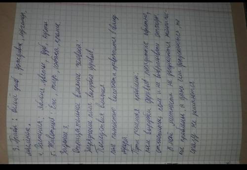 На рисунке представлена экосистема. (a) Используя данные на рисунке, составьте экологическую пирамид