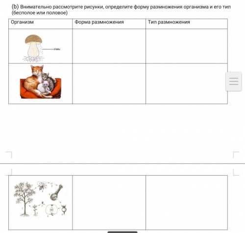 (b) Внимательно рассмотрите рисунки, определите форму размножения организма и его тип (бесполое или 
