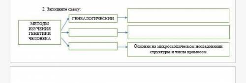 Заполните схему методы изучения генетики человека​