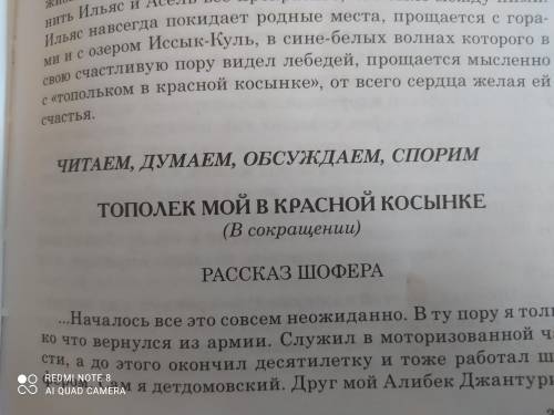 Какое решение приняла алеся? Почему? Рассказ Шофер