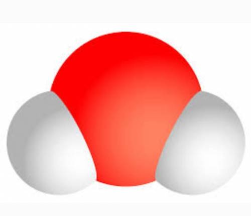 ￼￼вкажіть просторову будову молекули води