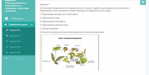 Задание 1 a) Установите правильную последовательность смены стадий в цикле развития мха, начиная с о