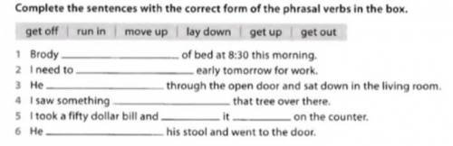 Complete the sentences with the correct form of the phrasal verbs in the box.​