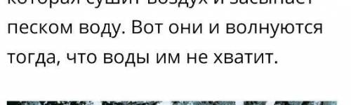 Чего не хватало кустикам? (Произведение Путешествие Алисы) лекарств внимания солнца воды ,