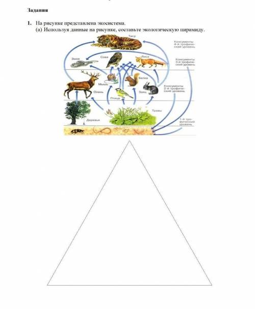 На рисунке представлены экосистема ​