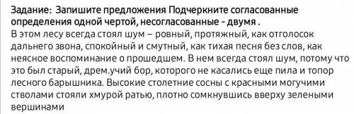 Подчеркните согласованные определения одной чертой,несогласованные двумя ​