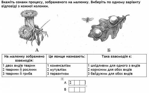 1. Задание на фото 2. На прикладі взаємодії людини з іншими видами живих організмів поясніть особлив