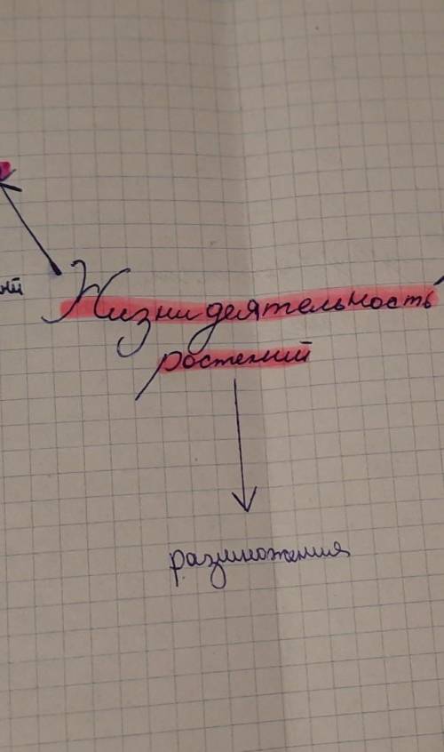 нужно на завтра до делать кластер по биологии 6класс по этой теме выше на фото дам 56 б​