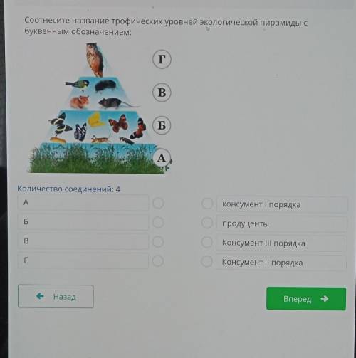 Соотнесите название трофических уровней экологической пирамиды с буквенным обозначением:ГB5-55БАКоли
