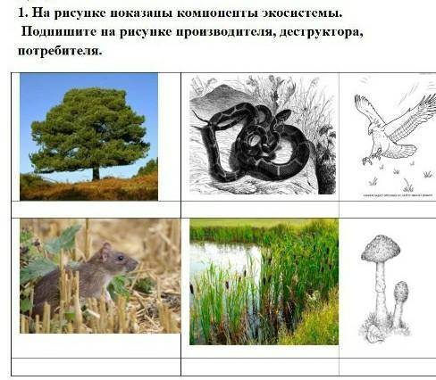 СРОК СДАЧИ ЗАКАНЧИВАЕТСЯ ЧЕРЕЗ 20 МИН​