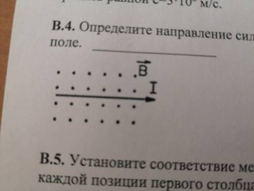 . Определите направление силы Ампера, действующей на проводник, помещенный в магнитное поле.