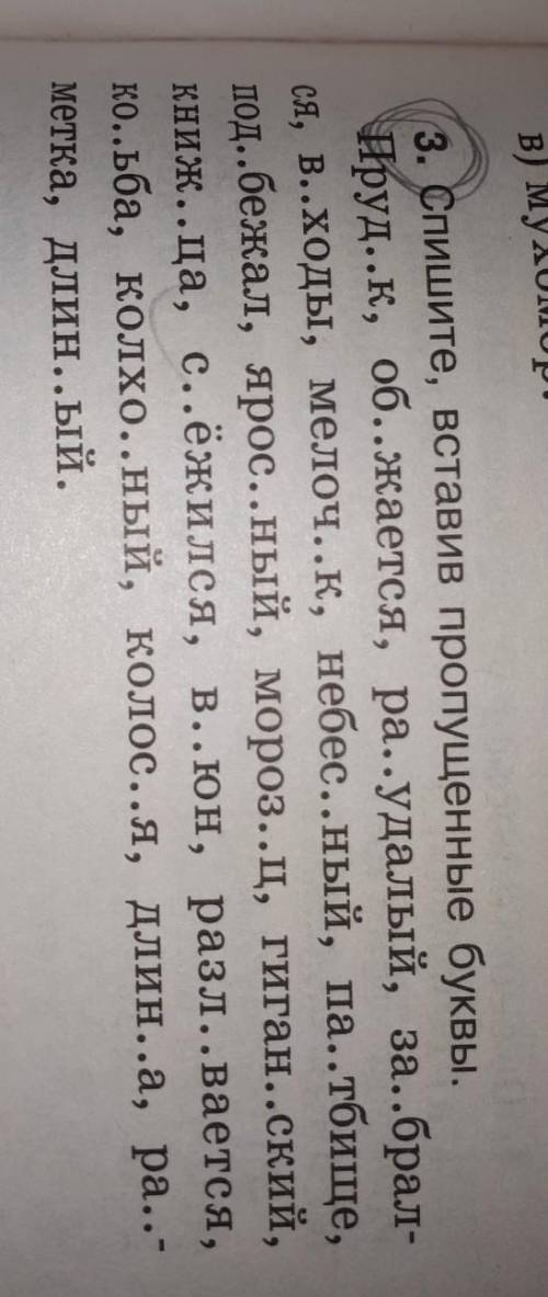 3. Спишите, вставив пропущенные буквы. Пруд..к, об..жается, ра..удалый, за..брал-ся, в..ходы, мелоч.