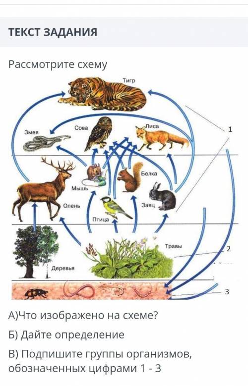 Рассмотрите схему А)Что изображено на схеме?Б) Дайте определениеВ) Подпишите группы организмов, обоз