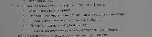 Установите последовательность формирования рефлекса , очень надо.​