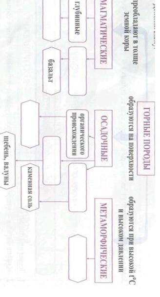 Задание № 3 Заполните пропуски в схеме:​