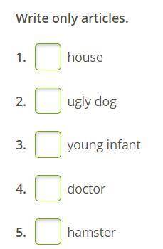 Choose a or an for each phrase. Don't use capital letters. Write the articles.