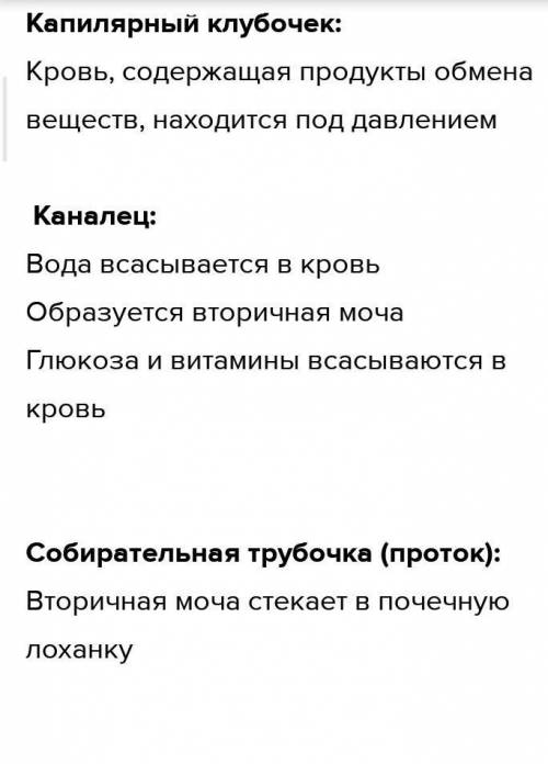 Сопоставьте процессы , происходящие в нефроне , и места их локализации 1)кровь, содержащая продукты