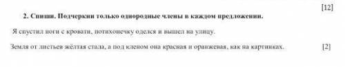 Спиши подчеркни только однородные члены в каждом предложении.​