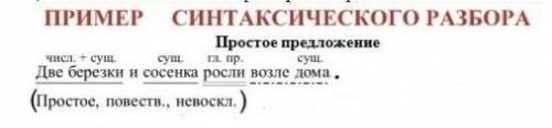 Выполните синтактич.разбор Бес зверьки нуждались в ежедневном уходе.Младшие школьники стали ухаживат