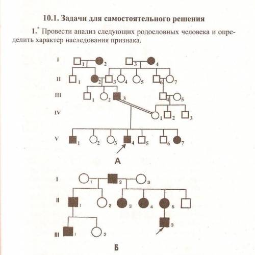 Сделайте анализ родословных я не понимаю