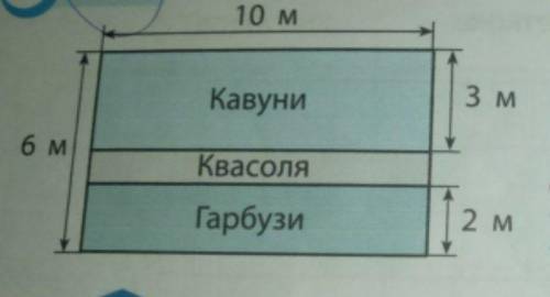 Кавун-АрбузКвасоля-ФасольГарбузи-АрбузУзнать площу каждого участка