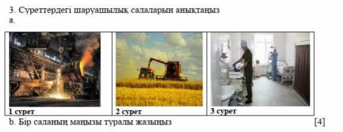 3. Найдите ответвления на чертежах a. Рисунок 1 Рисунок 2 Рисунок 3 p. Напишите о важности одной вет