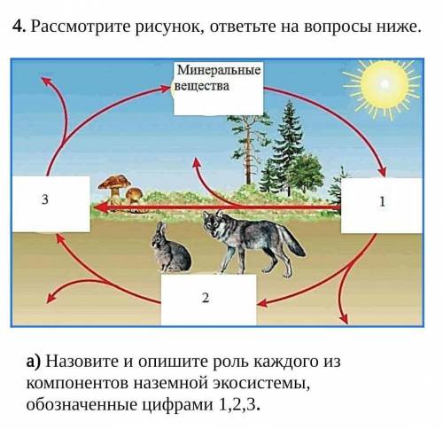 СОЧ ПО БИОЛОГИИ 8 КЛАСС Назовите и опишите роль каждого из компонентов наземной экосистемы, обозначе