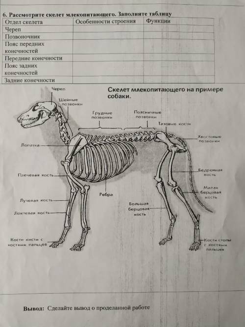 Решите По ссылке ниже та фотка с заданием