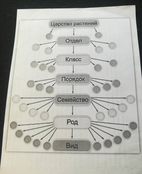 6 класс у меня контрольная работа ​