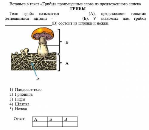 И Какое царство живых организмов не может самостоятельно создавать органические вещества, и поэтому