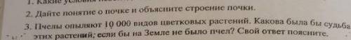 Дайте понятие о почке и объясните строение почки ​