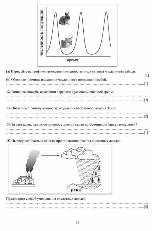 На графике ниже представлена численность популяции зайцев. Нарисуйте на графике изменение численност