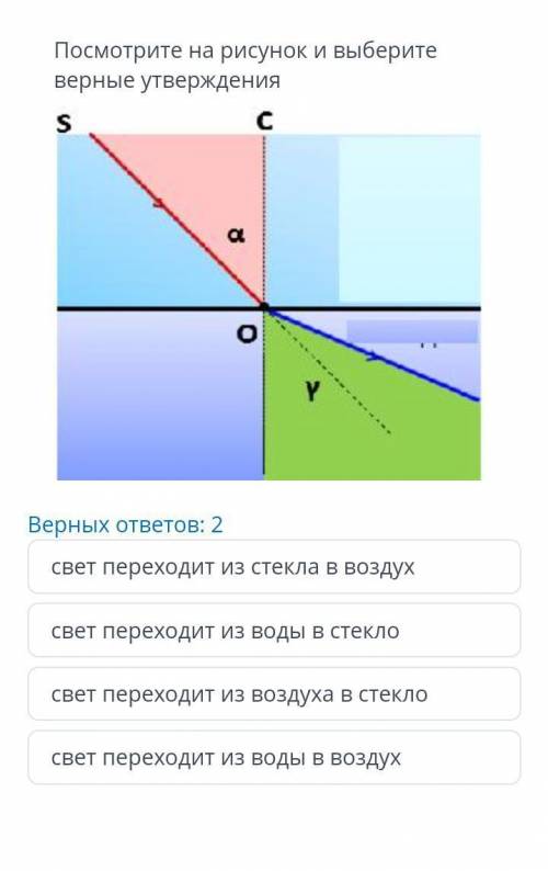 Посмотрите на рисунок и выберите верные утверждения