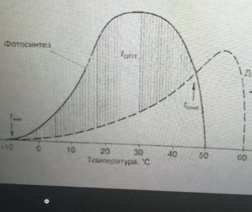 Умоляю порокомментируете этот график=( ​