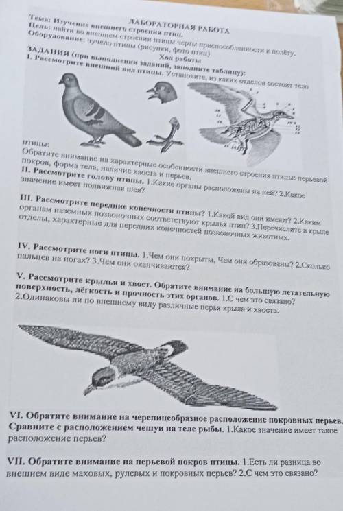 Решите лабороторную работу по биологии изучение внешнего строения птиц​