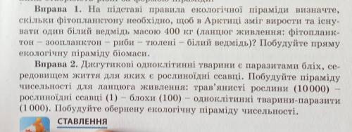 На підставі правила екологічної піраміди визначте,скільки фітопланктону необхідно,щоб в Арктиці зміг