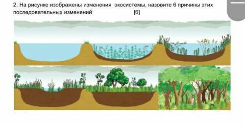 [1] 2. На рисунке изображены изменения экосистемы, назовите 6 причины этих последовательных изменени