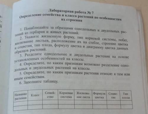 лабораторная работа N°7 . Определение семейства и класса растений по особенностям их строения. ​