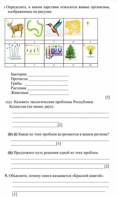 полный лист если это читает мой одноклассник то НЕ СПИСЫВАЙ У МЕНЯ а то подумают что я у тебя списал