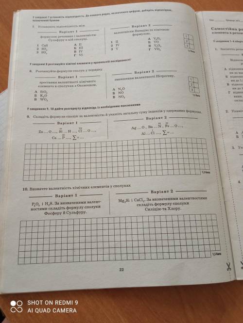 зделать Самостийна по химии второй вариант..