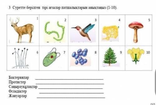 3. Суретте берілген тірі ағзалар патшалықтарын анықтаңыз (1-10)​