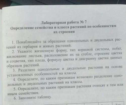 Лабораторная работа N° 7 Определите семейства и класса растений по особенностям их строения по биоло