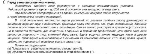 Перед вами описание экосистемы. Экосистема хвойного леса формируется в холодных климатических услови