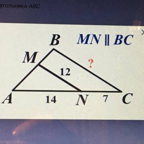 умоляю просто ответ без решения можно