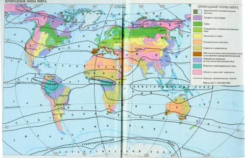 Определите по карте, какие природные зоны расположены в Северной Америке