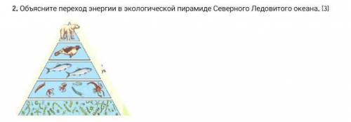 Прочитайте внимательно текст В степи преобладают травянистые растения, господствующее положение зани